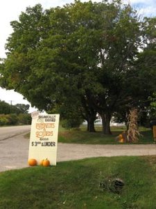 Harvest Wrap Up Image